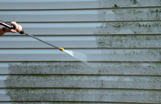 Mold Removal and Inspection in Big Bear City, CA