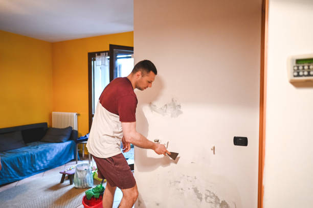 Best Black Mold Removal  in Big Bear City, CA